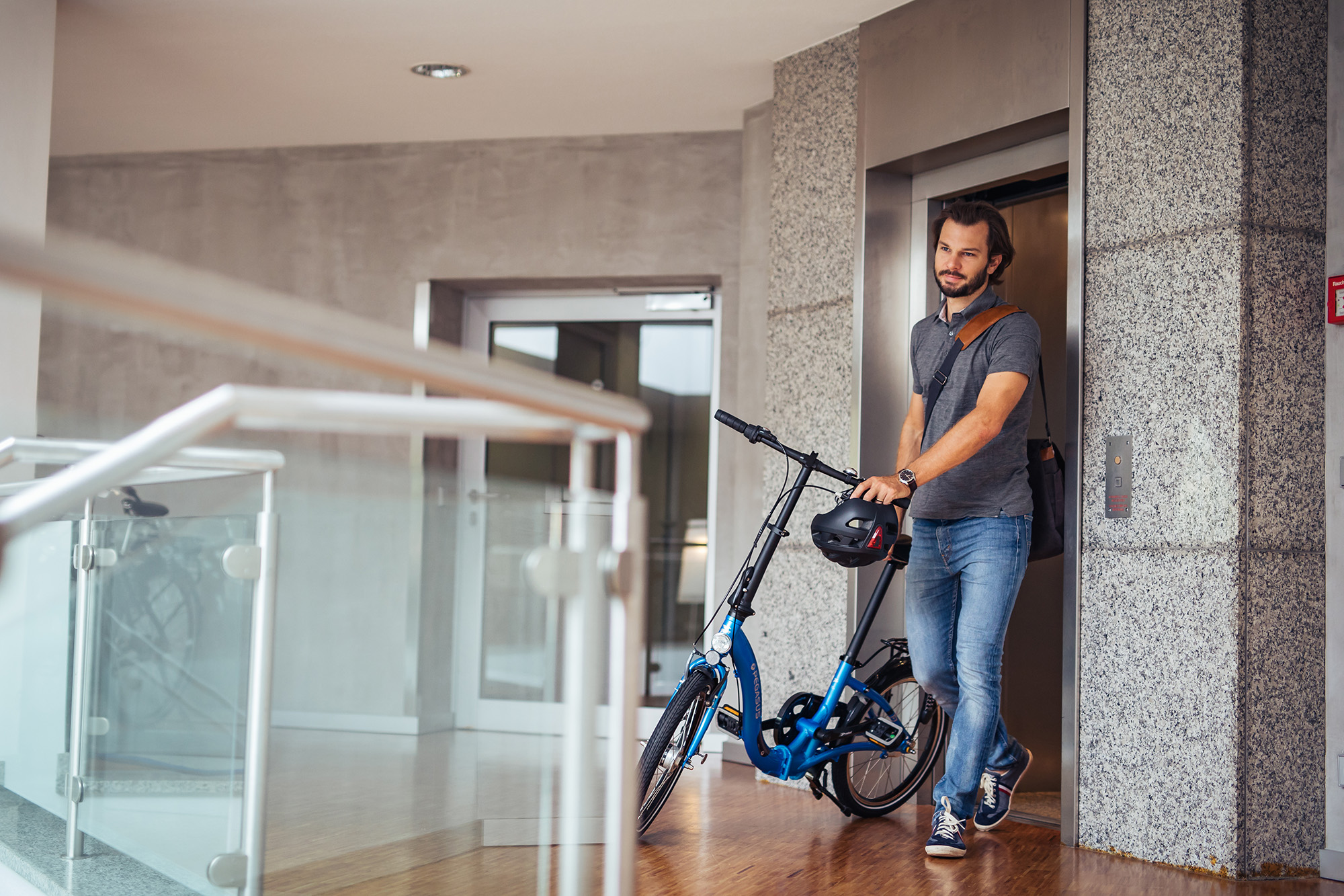 bike_falt_kompaktraeder_alle_pegasus_2019.jpg